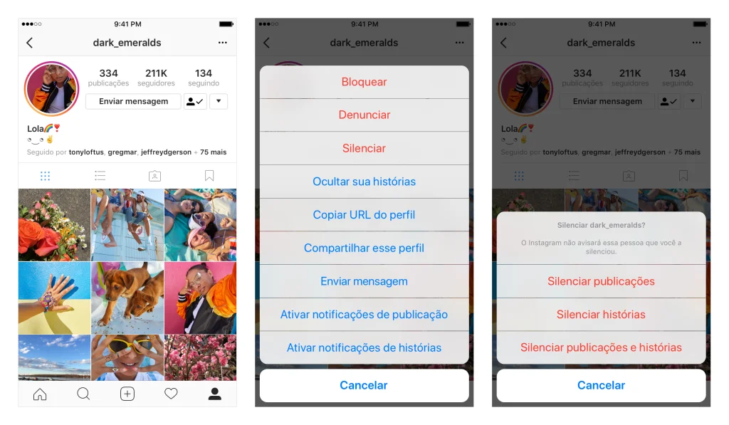 Instagram's 'Mute' Feature?